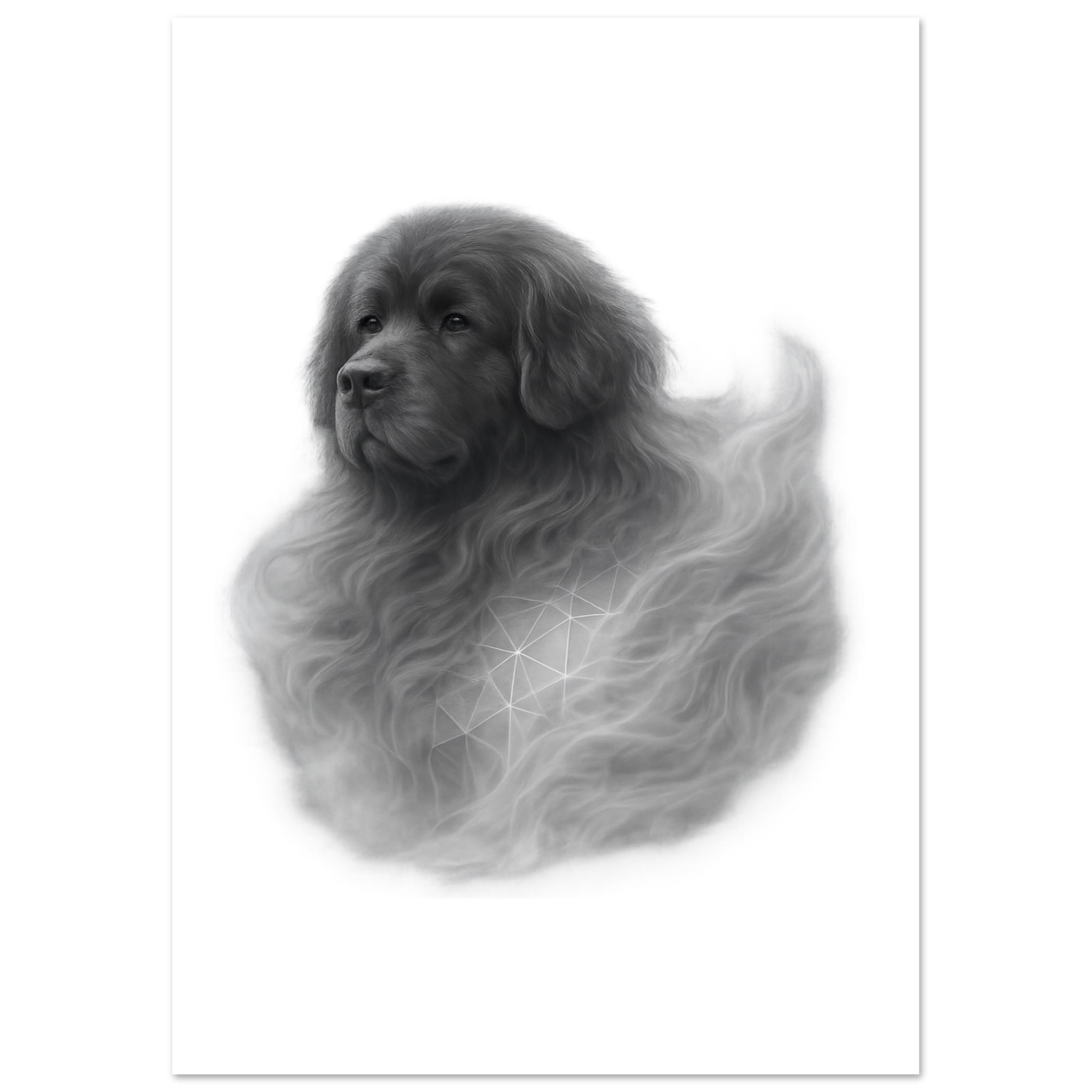 premium semi glossy paper poster newfoundland 1b5e4e18-2083-4674-8ec5-7e7d5d757735