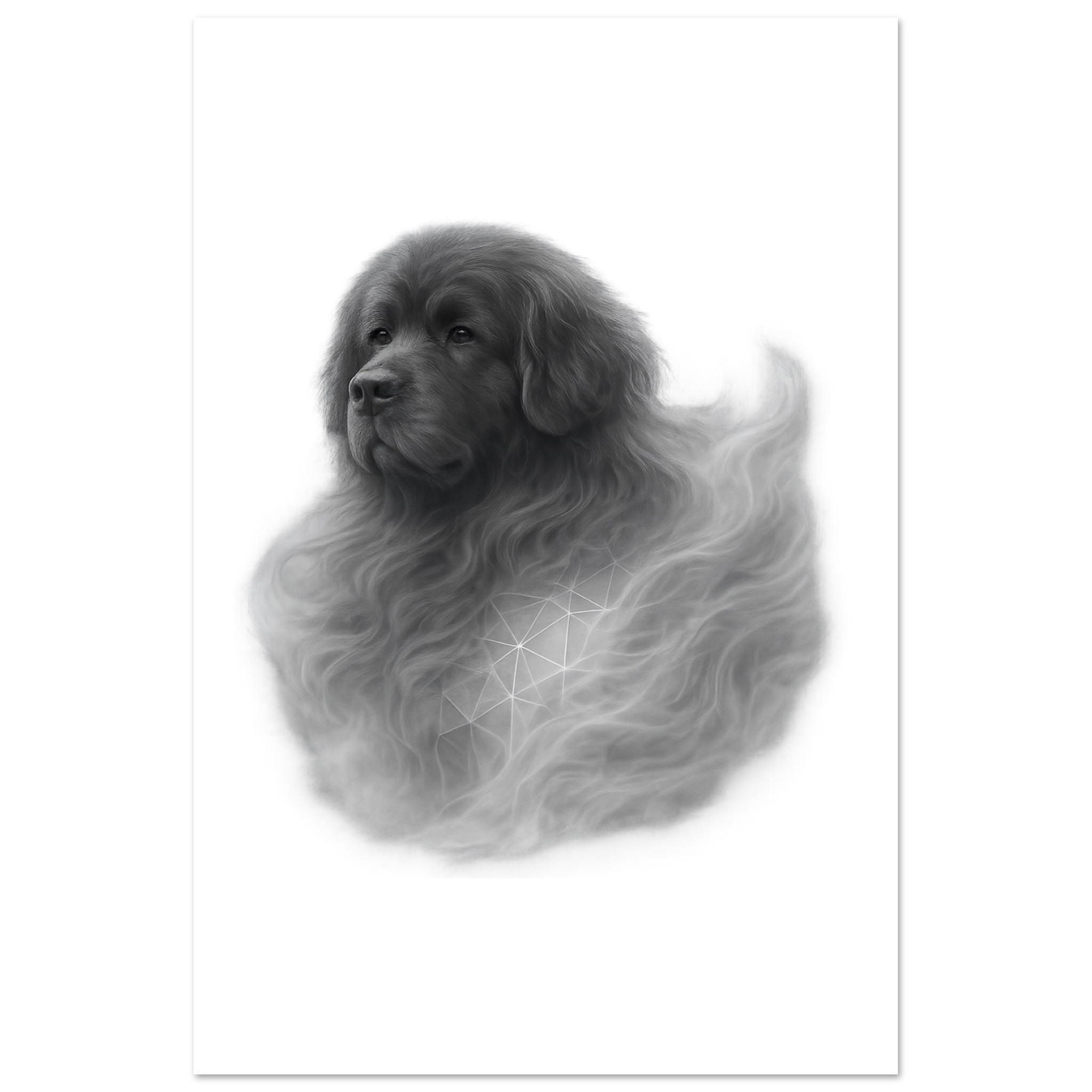premium semi glossy paper poster newfoundland 265afdbe-3998-4240-9e9e-e51b07a35b81
