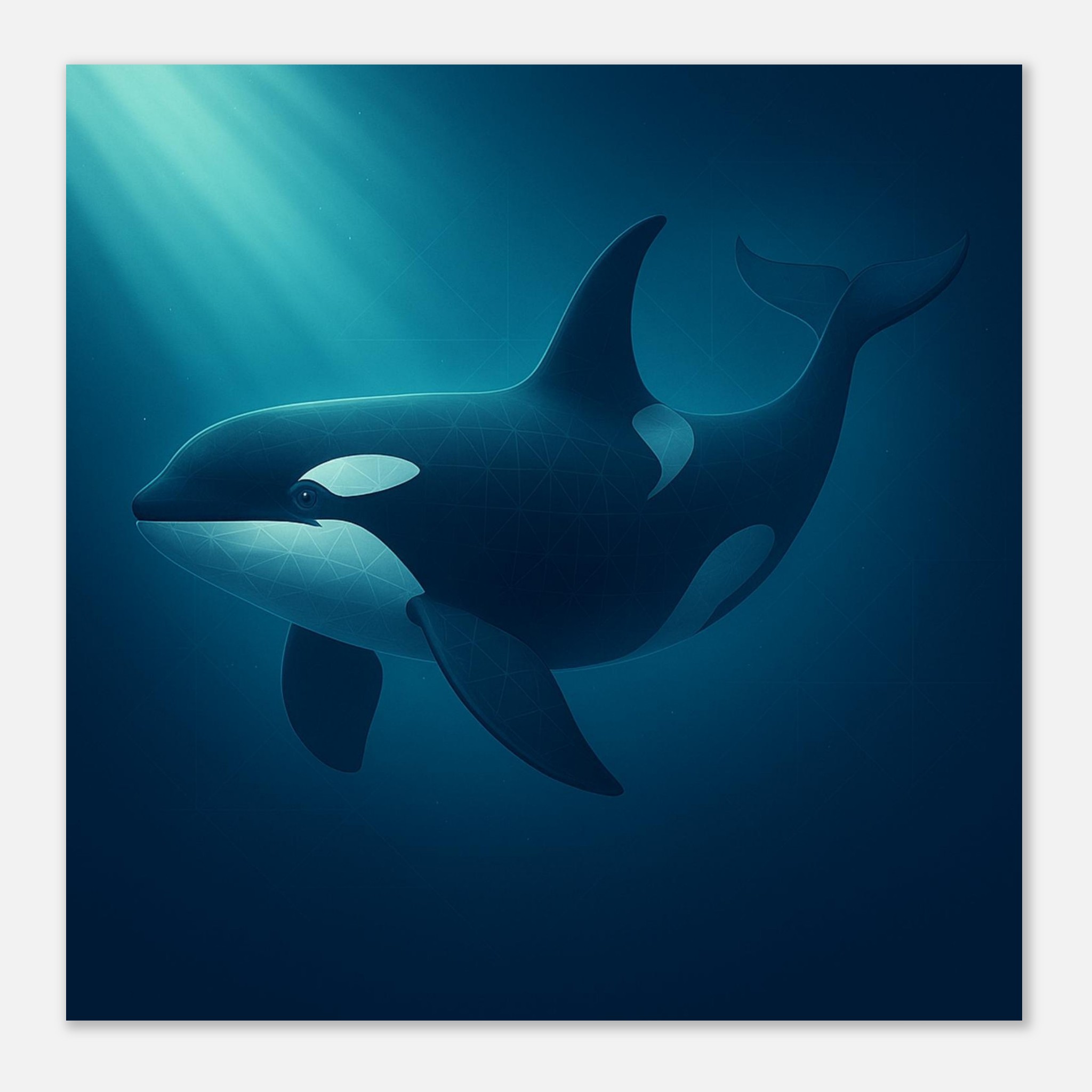 classic semi glossy paper poster orca 5bb6d623-c269-4ed5-a26e-798e92e3a0ed