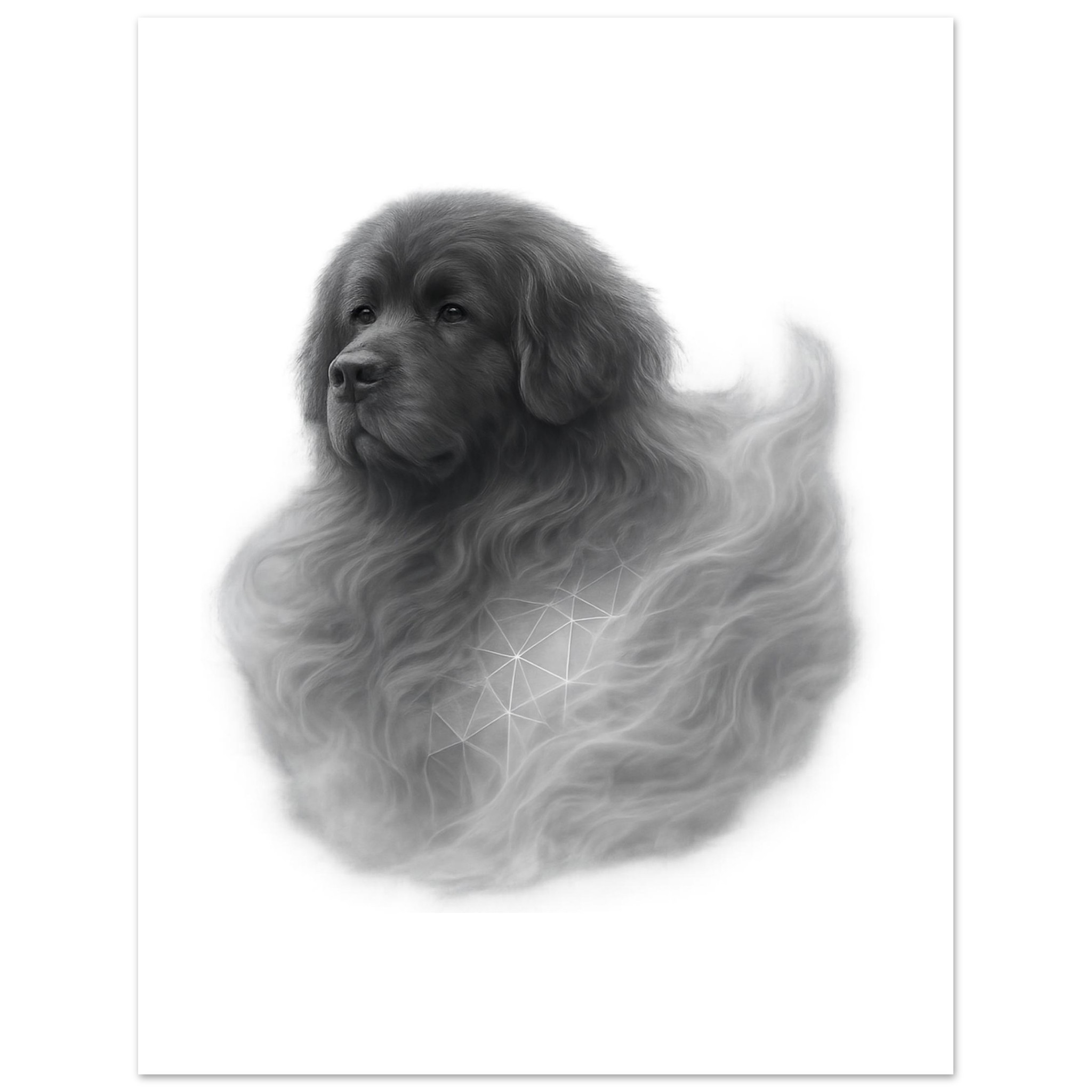 premium semi glossy paper poster newfoundland 605e5d59-81c2-4c17-ab02-d5943470e118