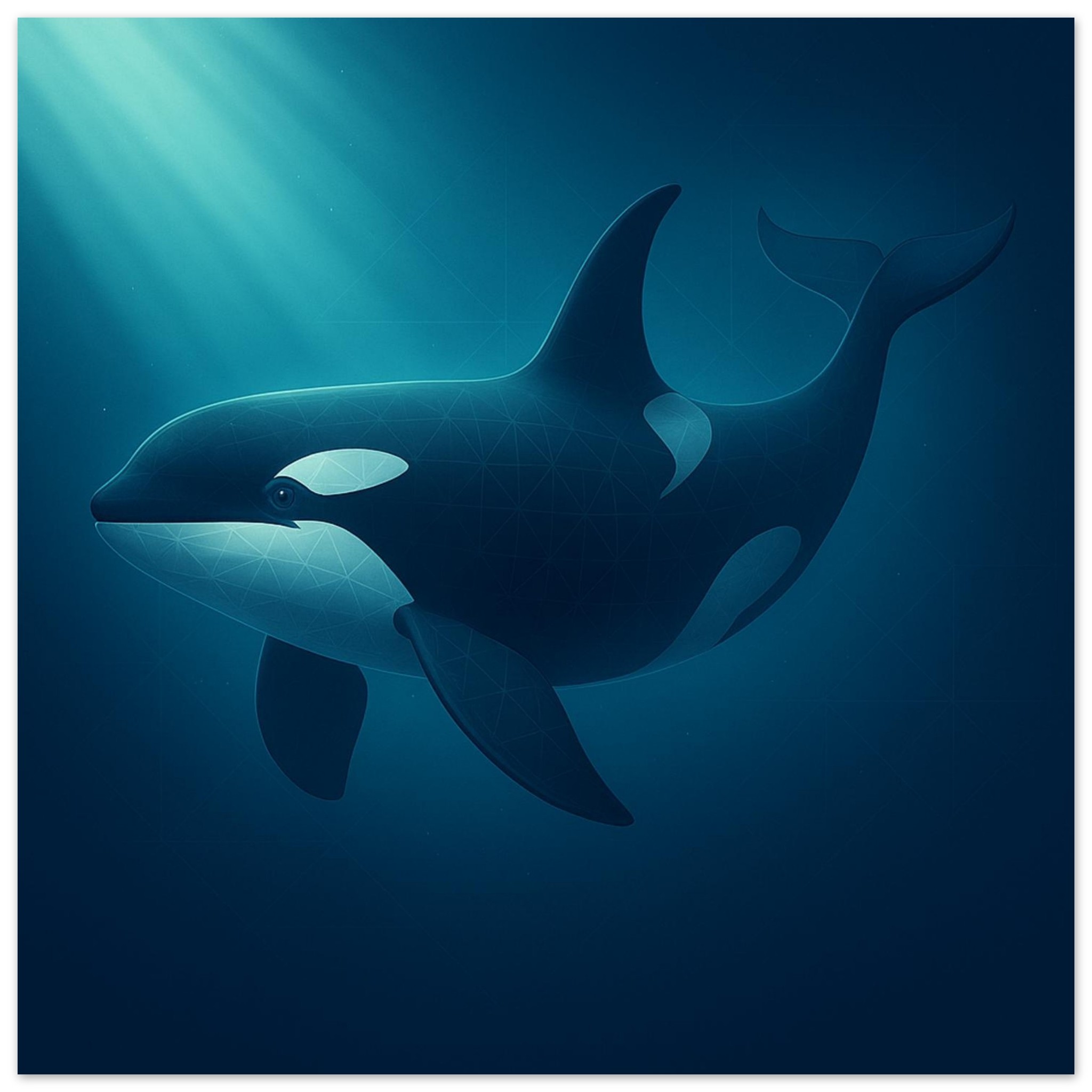 classic semi glossy paper poster orca 7def9b87-097c-4190-863c-5f11f715d4e1