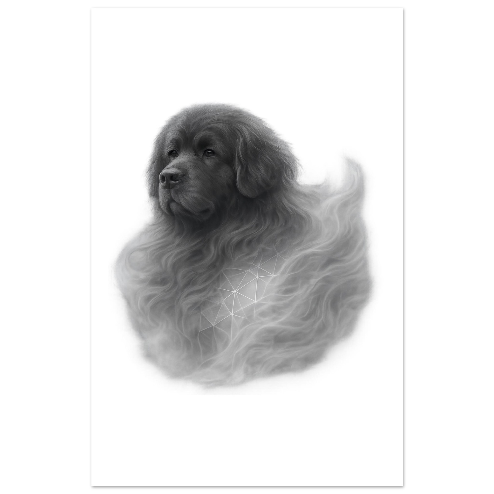 premium semi glossy paper poster newfoundland cd241cca-afae-4315-8ab9-0e3e0186b432
