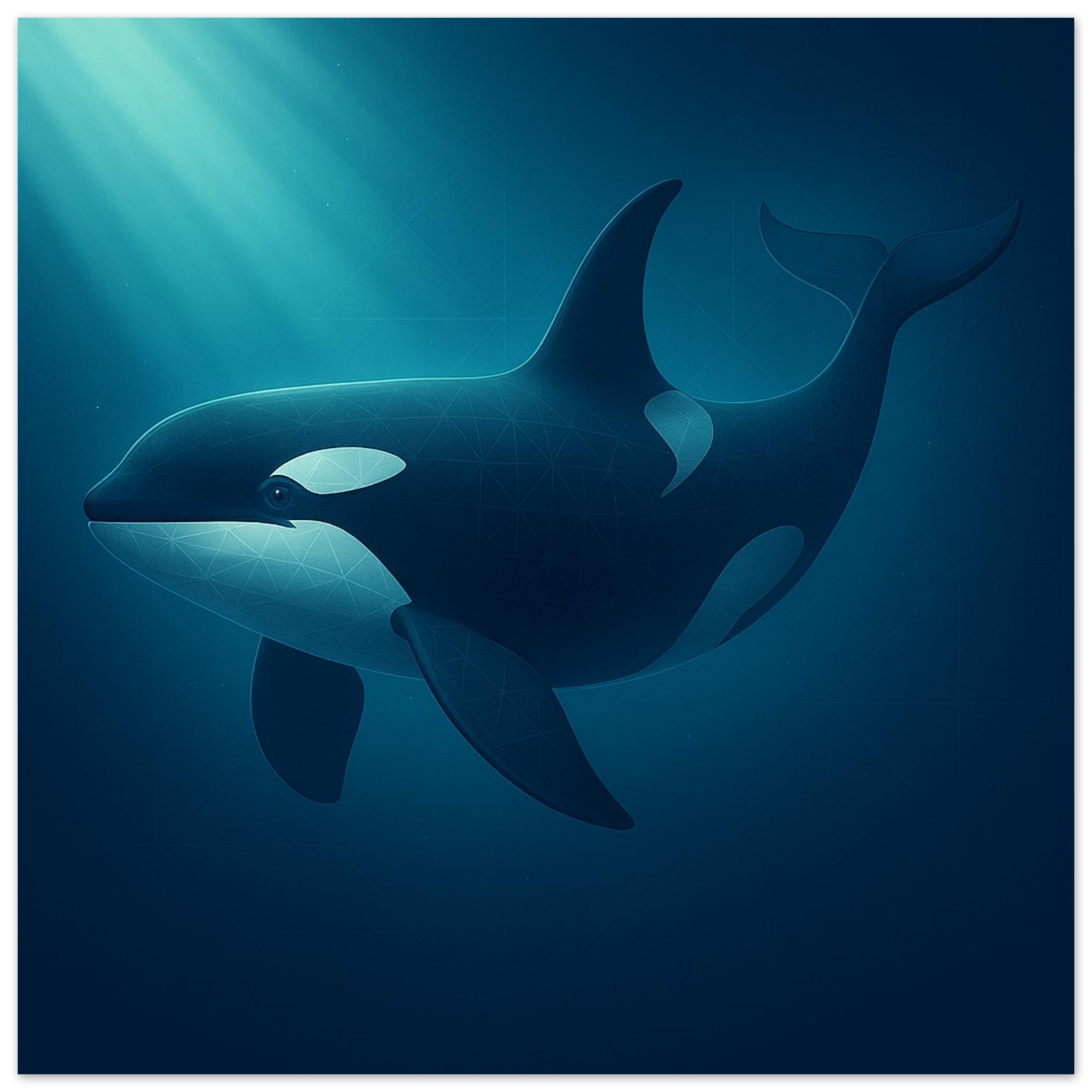 classic semi glossy paper poster orca d8e07c12-46ae-4755-8f9a-9f183abdc4f7