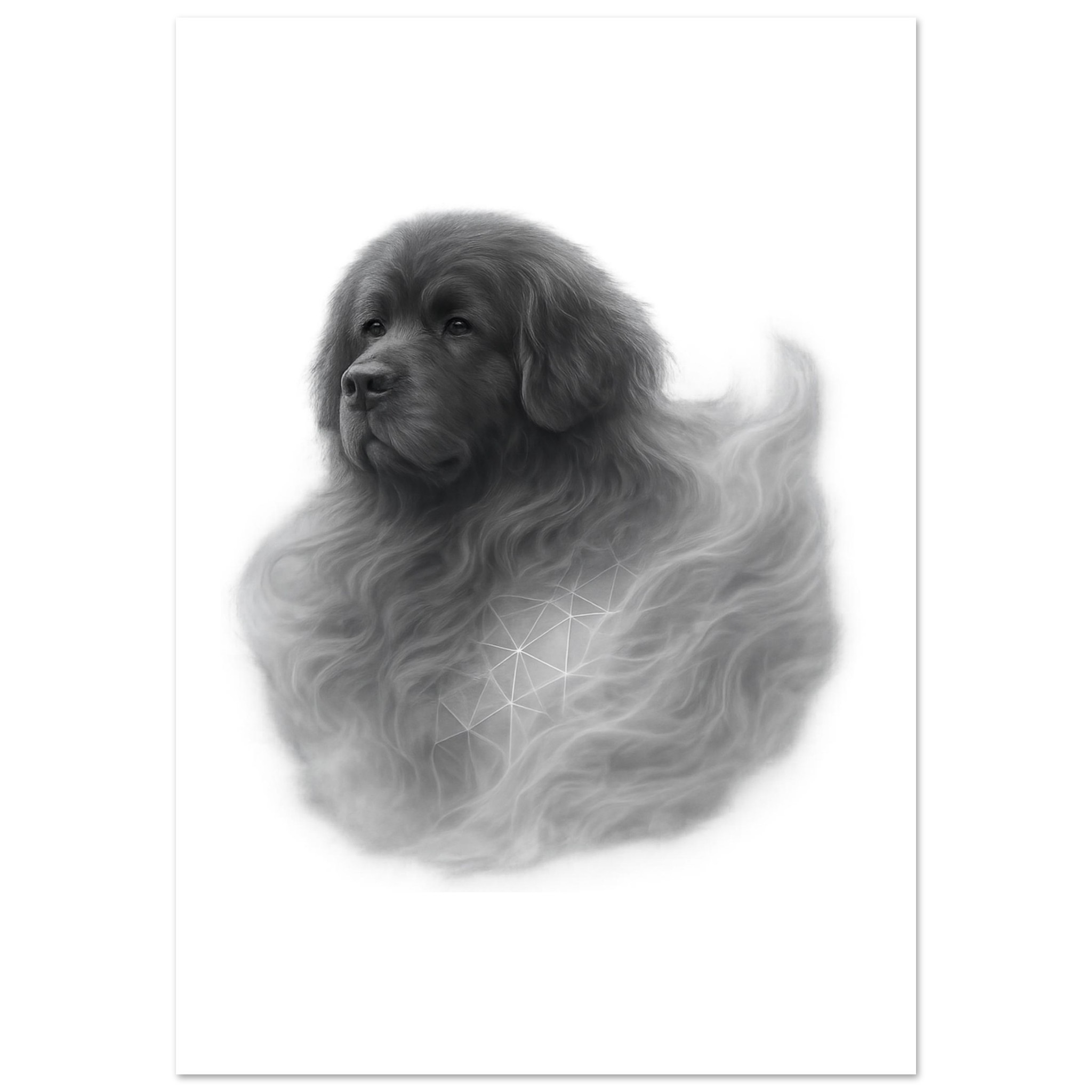 premium semi glossy paper poster newfoundland e05690b0-dcb0-4760-8f1f-246cb7499757