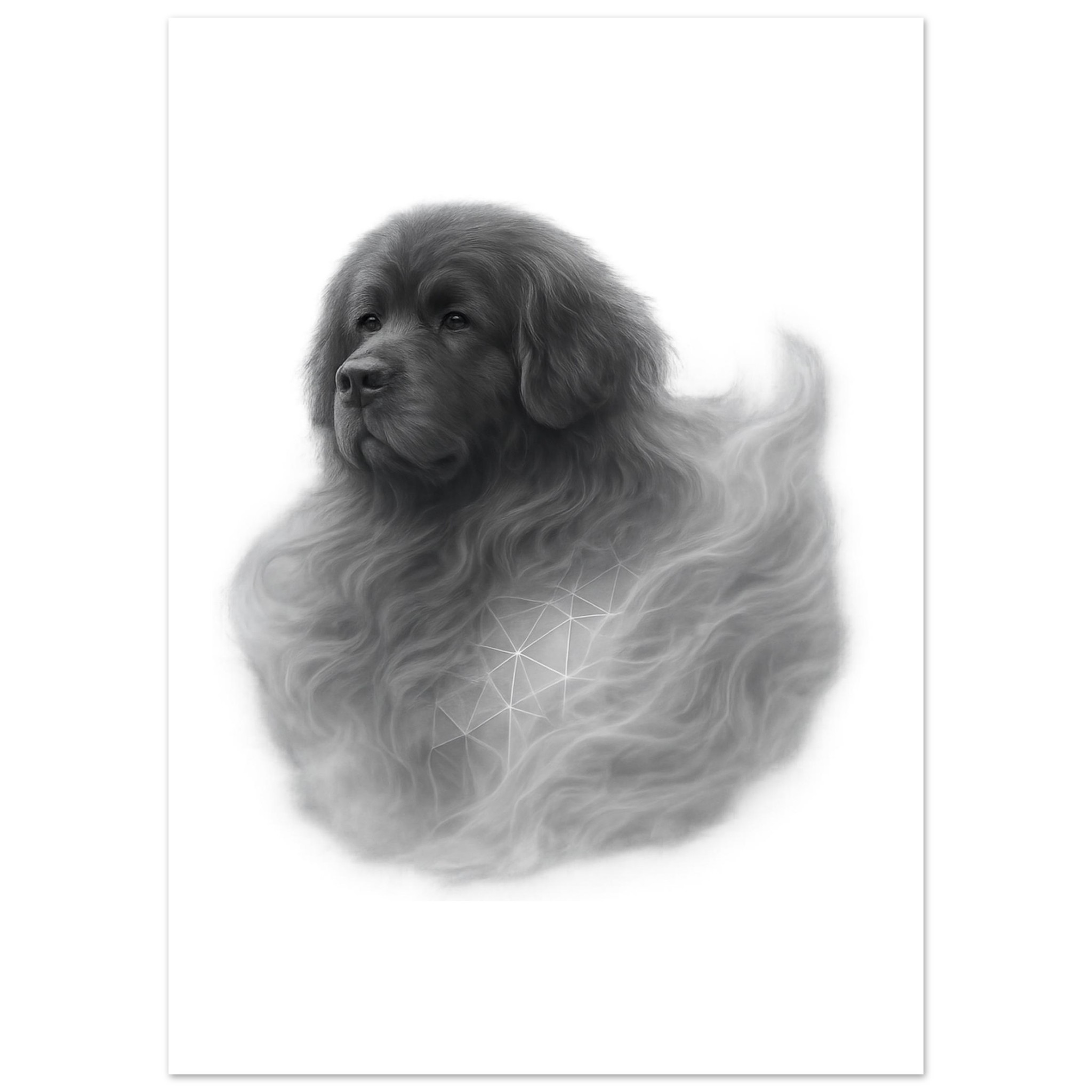 premium semi glossy paper poster newfoundland e16dfbe5-7749-4396-8d88-4269745ebb1a
