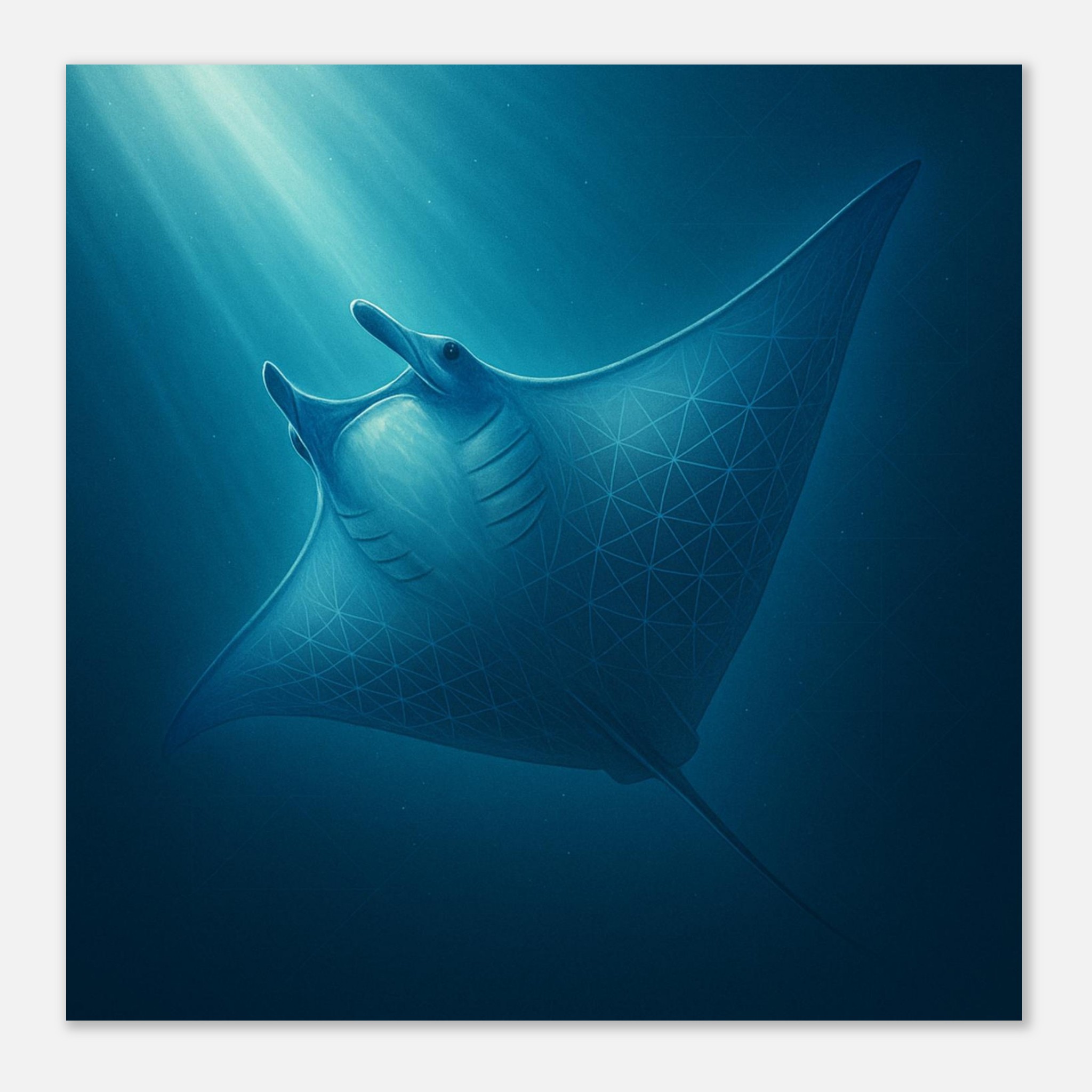 classic semi glossy paper poster manta ray e621dd66-6dac-4f9c-8fe6-a68ad8fc58d4