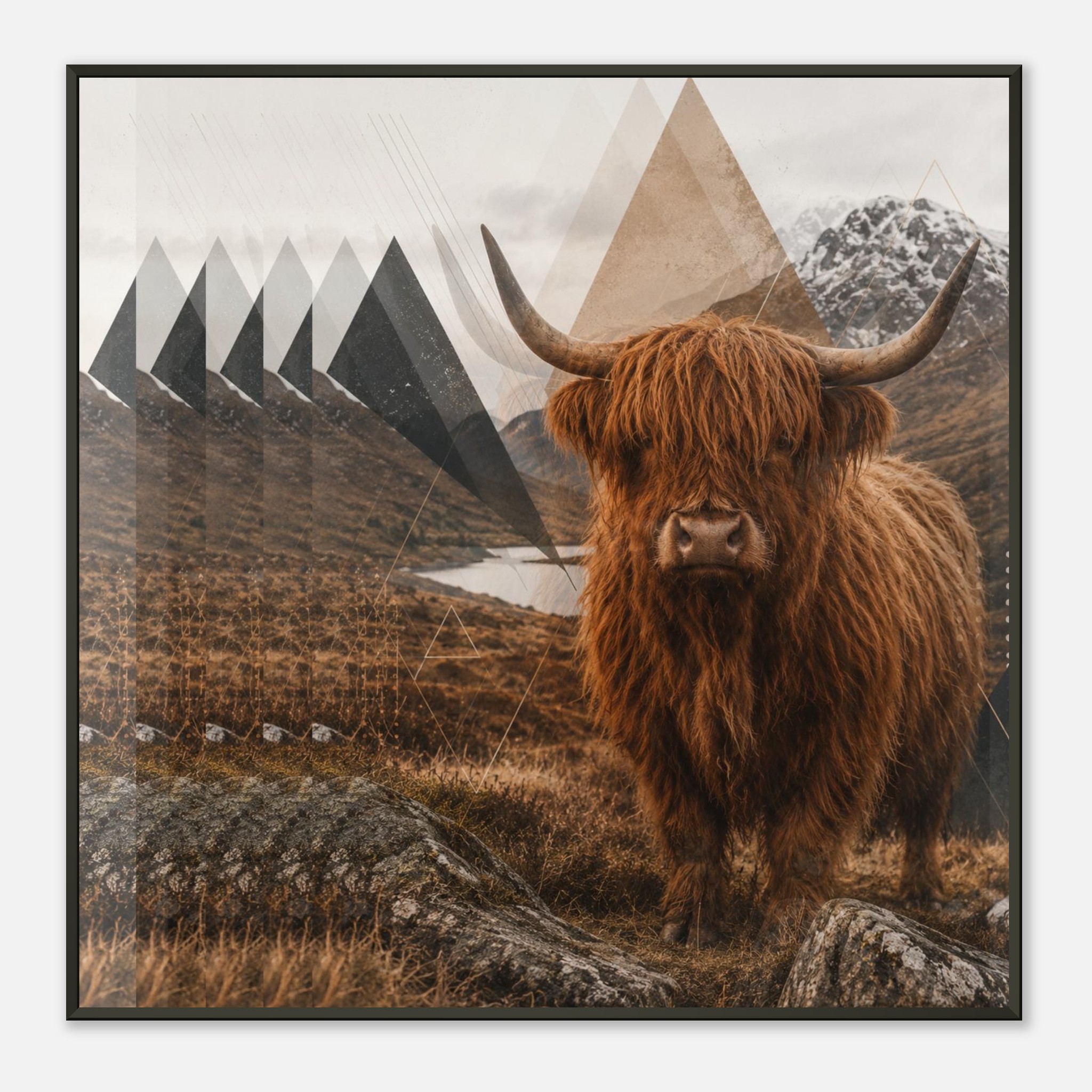 classic semi glossy paper metal framed poster highland cow f282fe7b-7740-46cf-bb94-c28c1700d965