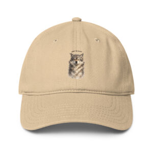 low profile baseball cap khaki front 6a4d699bed8f8.jpg