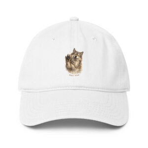 low profile baseball cap white front 6a4d61e4ed5cf.jpg