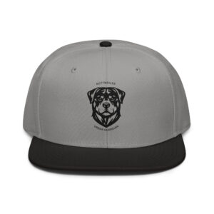 snapback black gray gray front 6a4c0bdf2bbb8.jpg