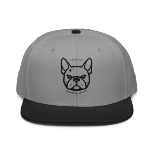 snapback black gray gray front 6a4c0ce73489e.jpg